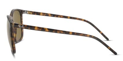 Ray-Ban RB4387 Brown , Tortoise glasses - Brown / Tortoise - Side View