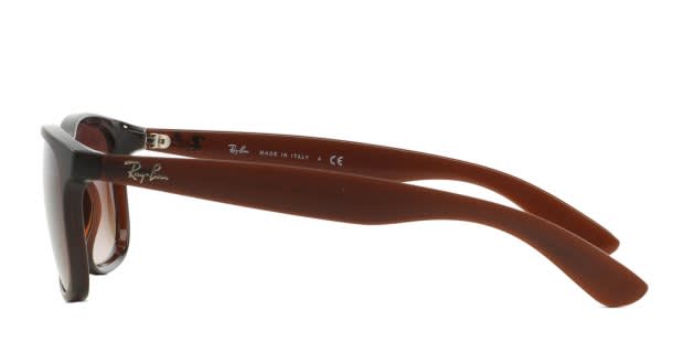 Ray-Ban RB4202 Brown display picture 1