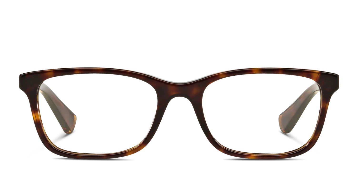 【貴重】Ralph Lauren Eyewear メガネスタンド Ralph Lauren RA7069 tortoise frames