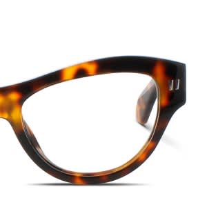 frame