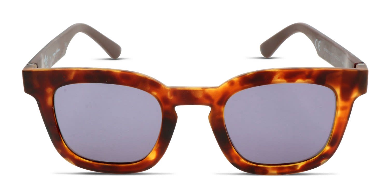 Adidas AOR022 Black , Brown , Gray , Tortoise glasses - Black / Brown / Gray / Tortoise - Frontal View