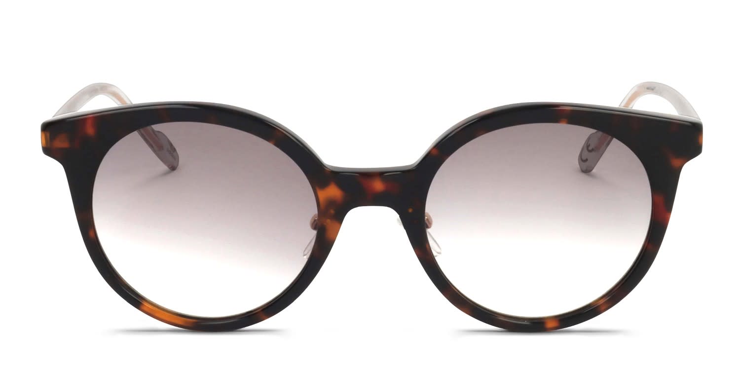 Adidas AOK007 Tortoise glasses - Tortoise - Frontal View