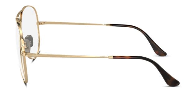 Ray-Ban RX8789 Aviator Titanium brown frame