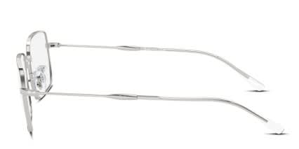 Ray-Ban RX6520 Silver glasses - Silver - Side View