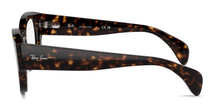 Ray-Ban RX7681V Jorge Brown, Tortoise glasses - Brown / Tortoise - Side View