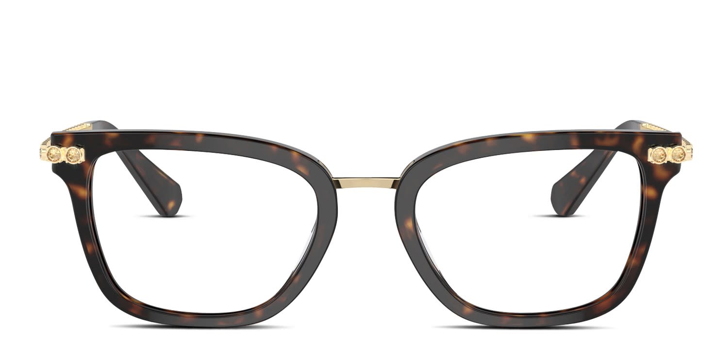 Swarovski SK2018 Tortoise glasses - Tortoise - Frontal View