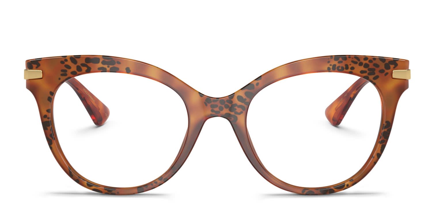The Moschino MOL586 in tortoise is a stylish frame with a modern