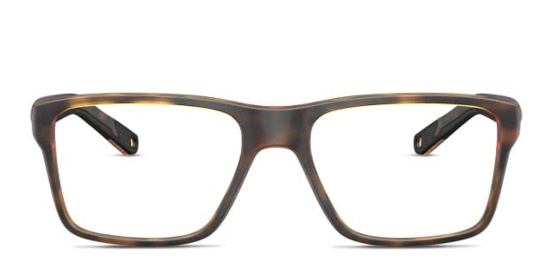 Costa Del Mar 6A8011 Ocean Ridge 420 tortoise frame display picture 3