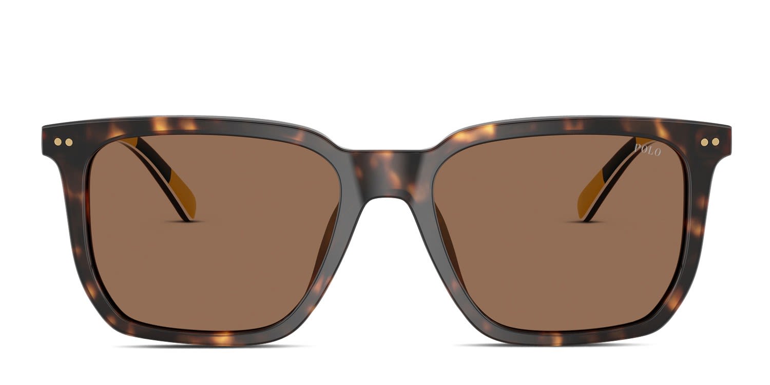 Bottega Veneta BV1033S Tortoise Prescription Sunglasses