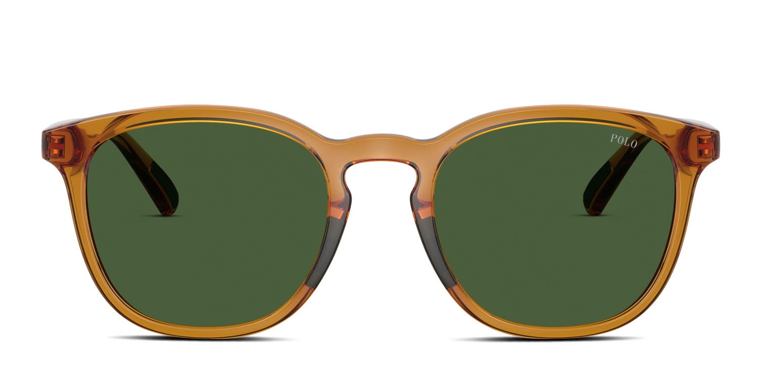 Polo Ralph Lauren PH4222U Clear, Bronze, Brown glasses - Clear / Bronze / Brown / Green - Frontal View