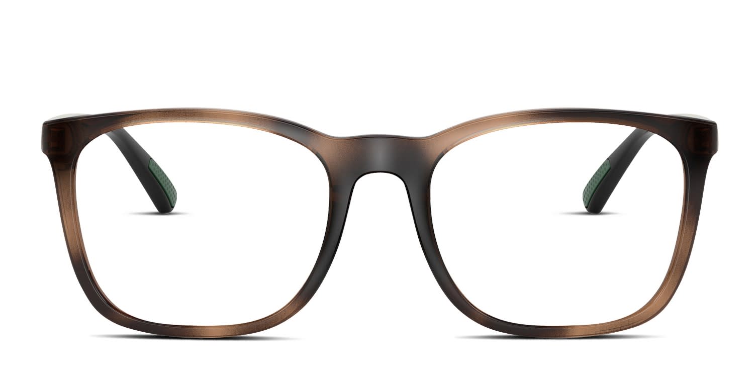 Polo Ralph Lauren PH2281U Tortoise glasses - Tortoise - Frontal View