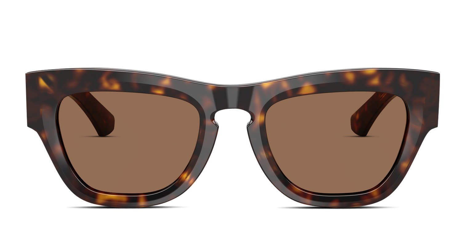 Saint Laurent レディース トータスシェル サングラス Amazon.com: Saint Laurent Unisex Sunglasses Tortoise Frame