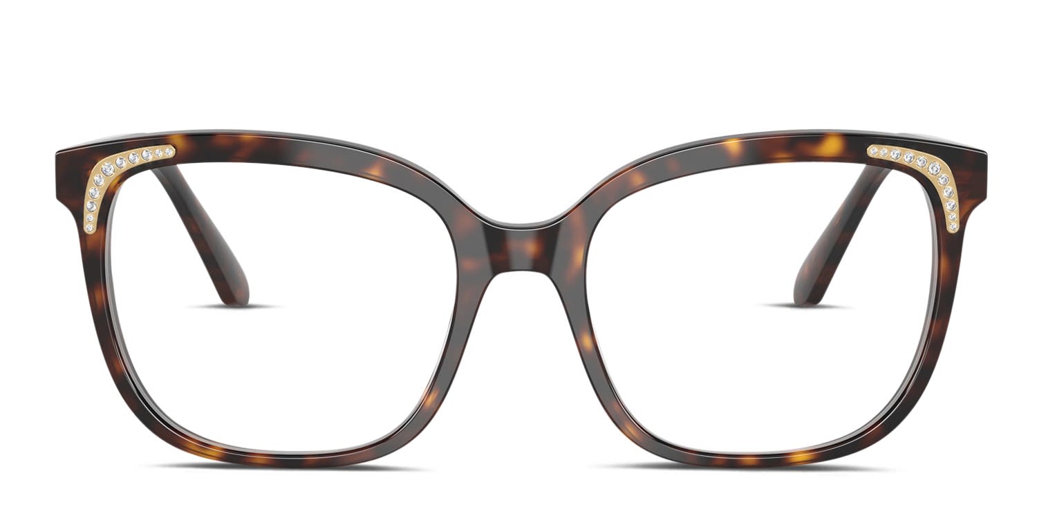 Swarovski SK2033 Tortoise glasses - Tortoise - Frontal View