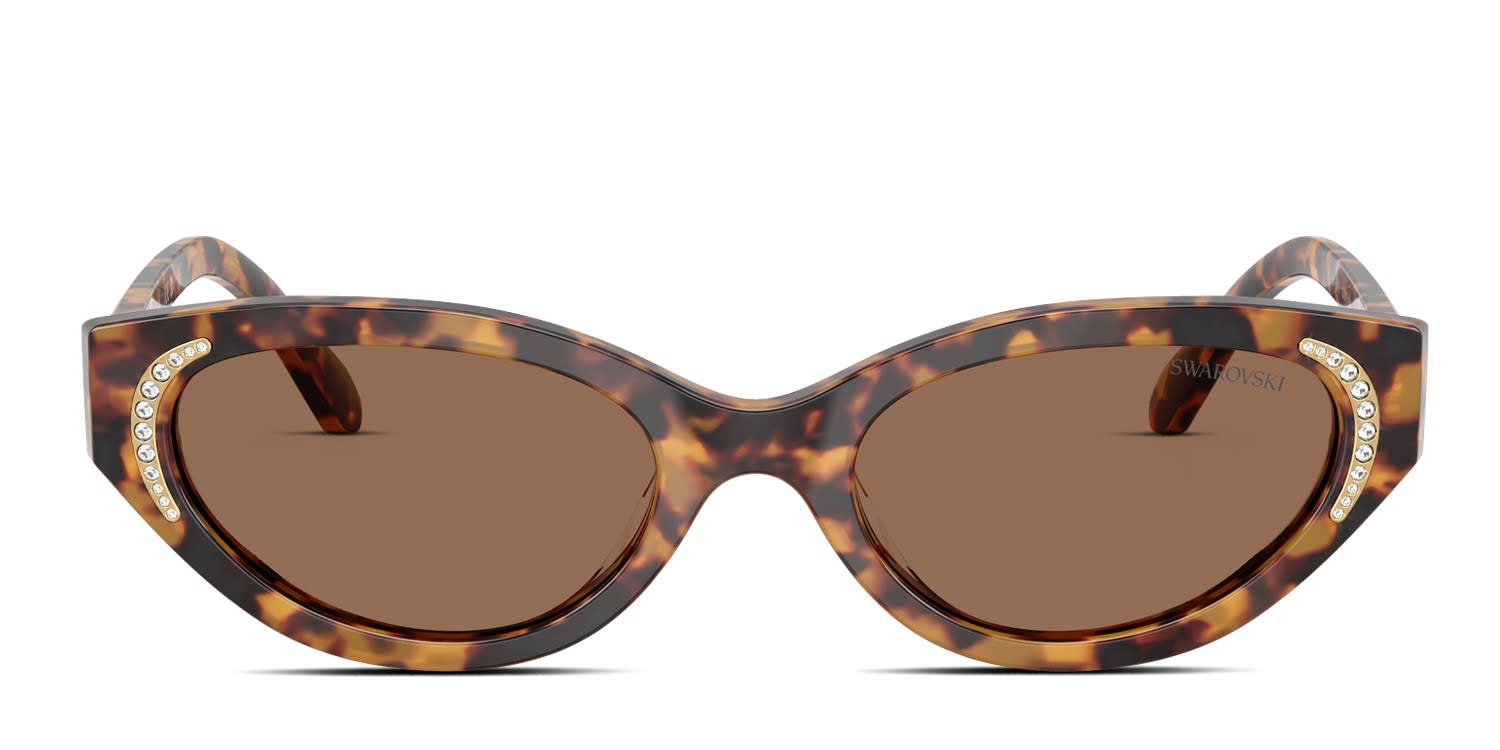 Swarovski SK6030 Tortoise glasses - Tortoise / Brown - Frontal View