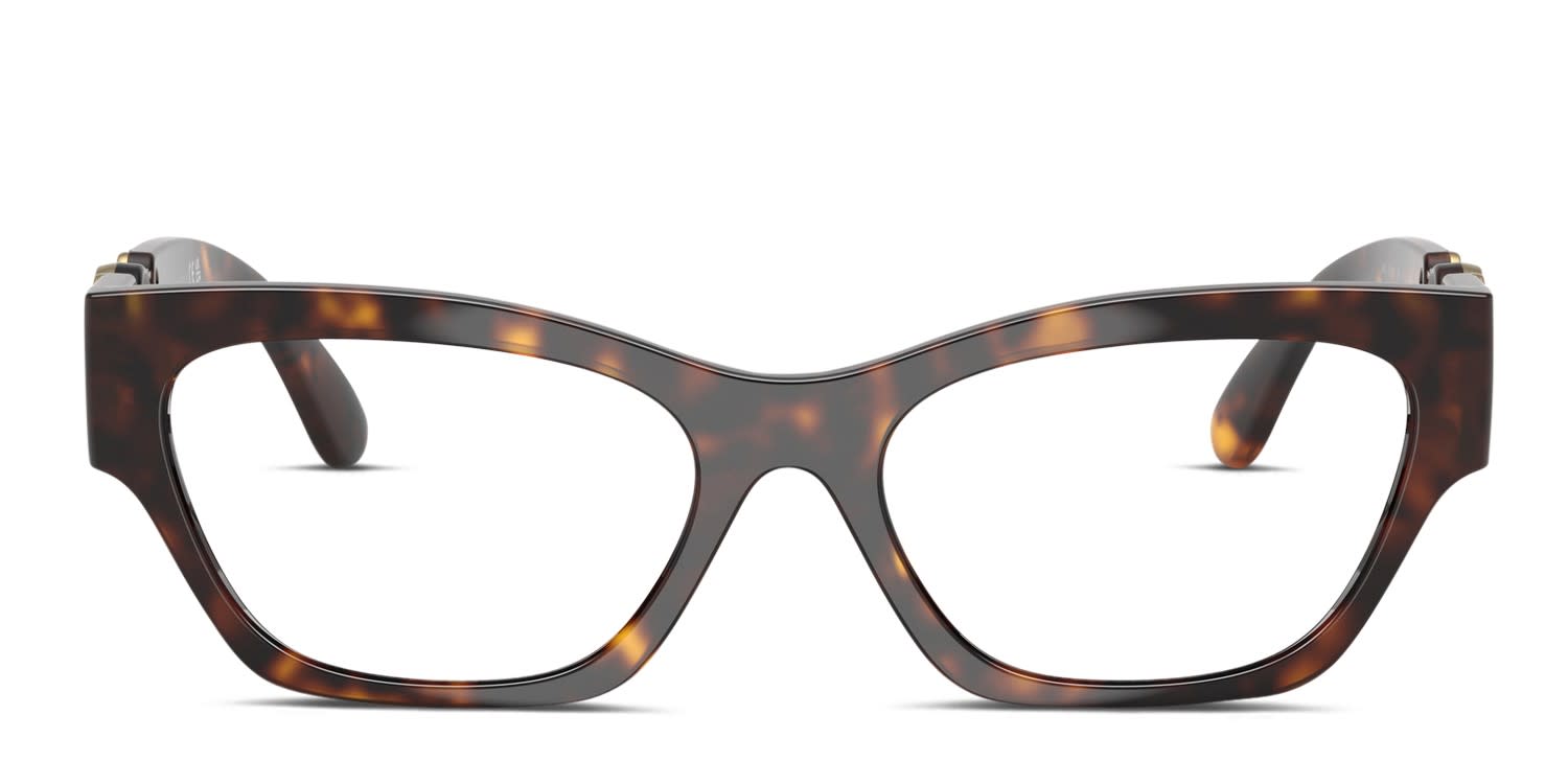 【おトク】 Includes | Eyeglasses Tortoise Nettle E. Amelia FREE Lenses Rx 帽子