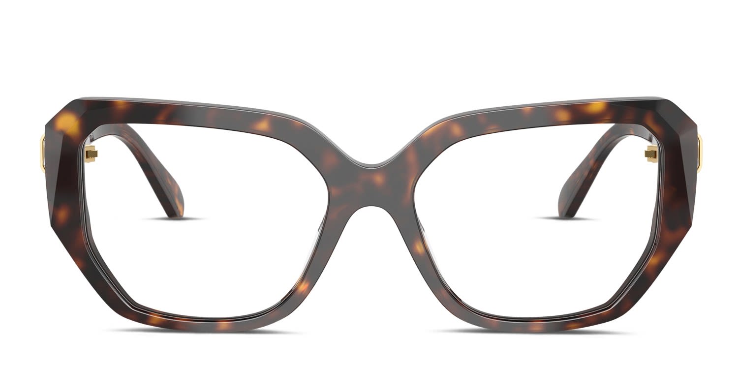 Swarovski SK2035 Tortoise glasses - Tortoise - Frontal View