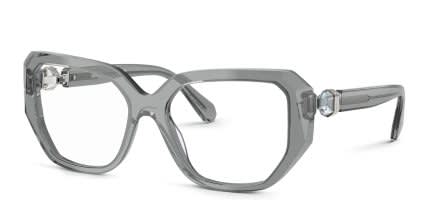 Swarovski SK2035 Clear, Gray glasses - Clear / Gray - Angle View