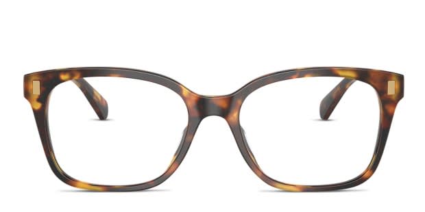 Ralph Lauren RA7174U bronze , tortoise frame display picture 1