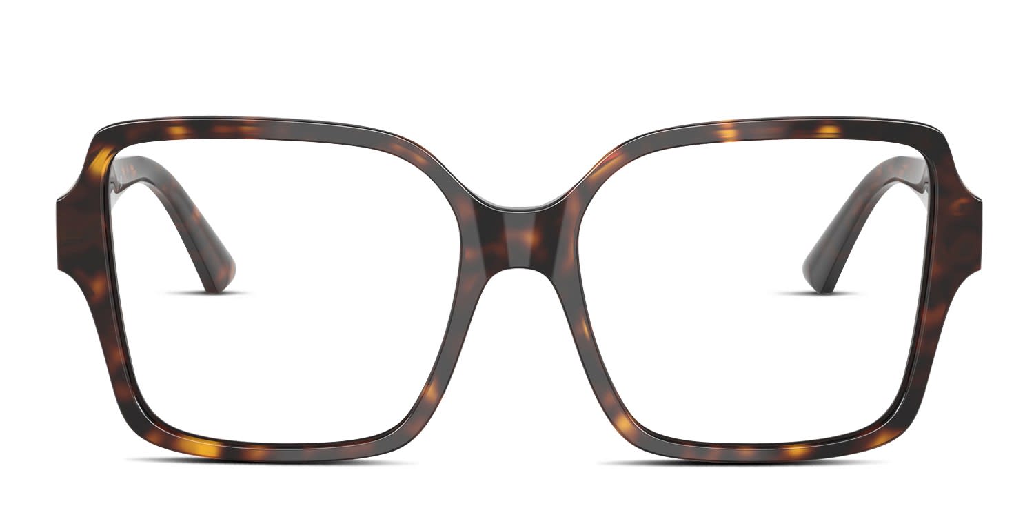 Jimmy Choo JC3027 tortoise frame