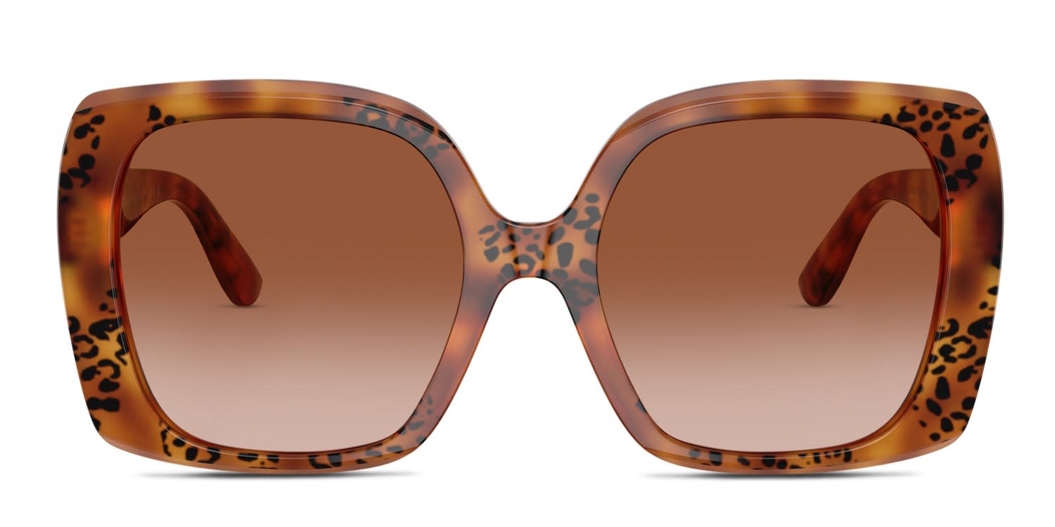Dolce & Gabbana DG4475 Tortoise glasses - Tortoise / Brown - Frontal View