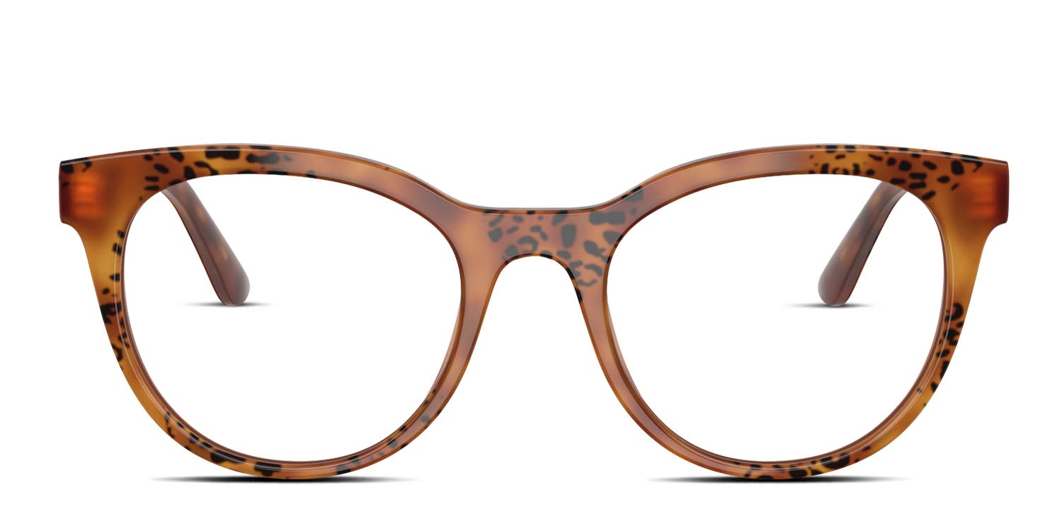 Dolce & Gabbana DG3399 Tortoise glasses - Tortoise - Frontal View