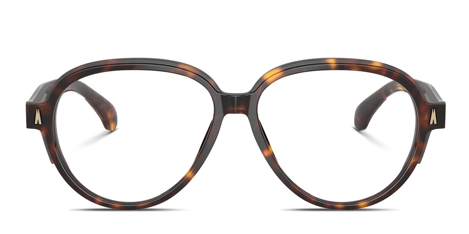 Moncler ME2003 Tortoise glasses - Tortoise - Frontal View