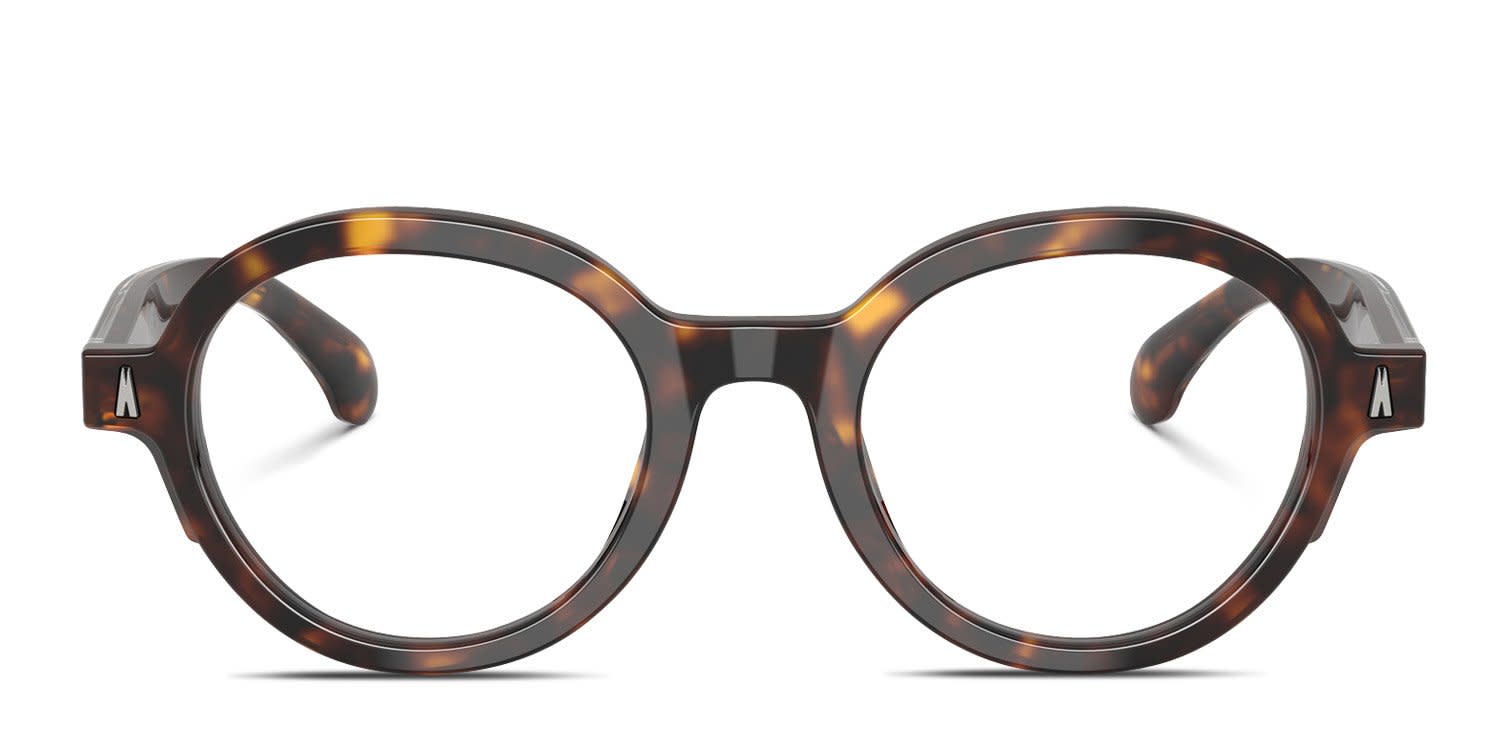 Moncler ME2005 Tortoise glasses - Tortoise - Frontal View