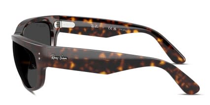 Ray-Ban RB2289 Mega Balorama Tortoise glasses - Tortoise - Side View