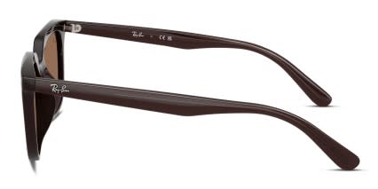 Ray-Ban RB4439D Brown glasses - Brown - Side View