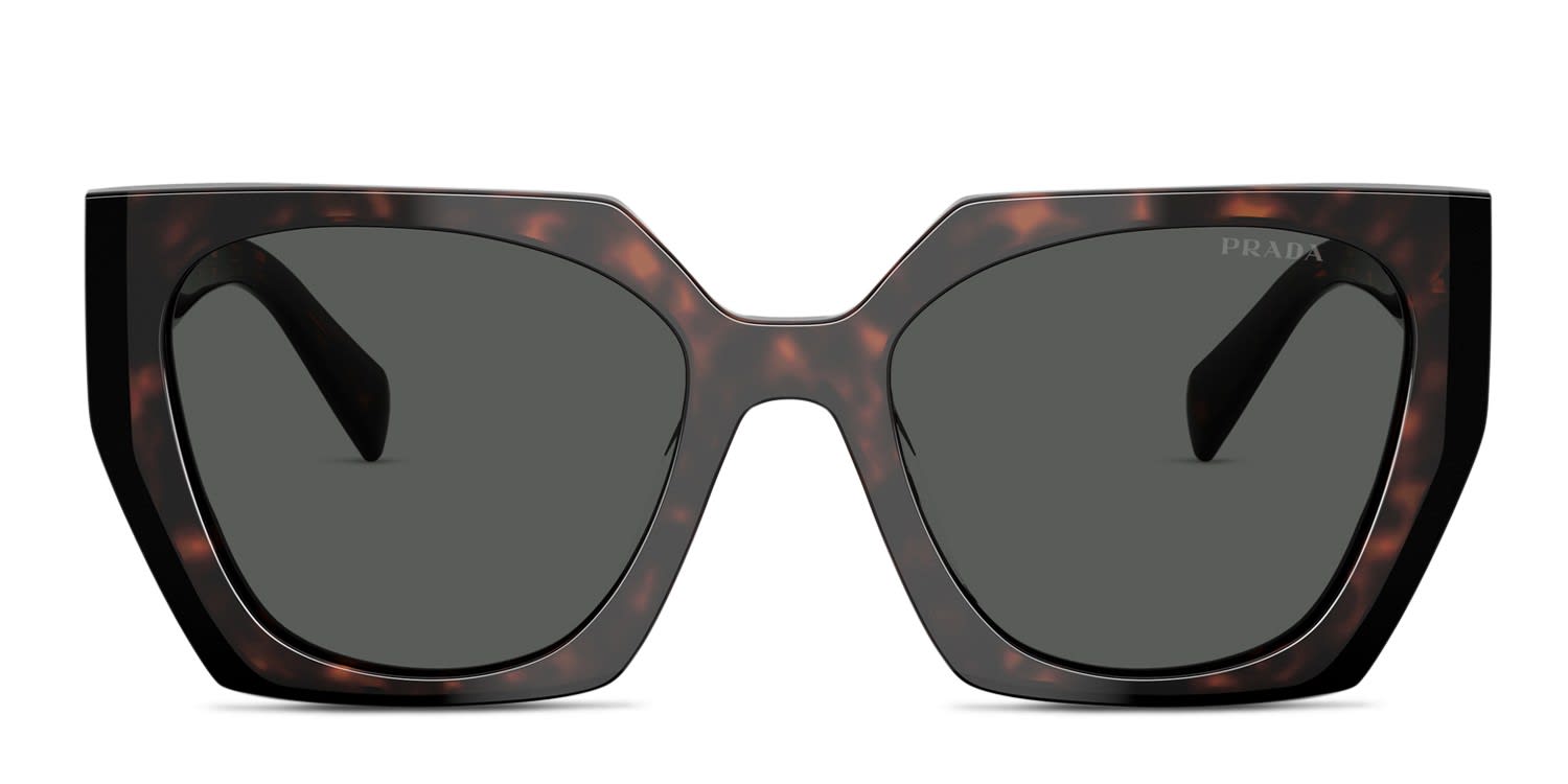 Coach HC8132 Black/Tortoise w/Brown