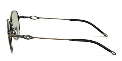 Diesel DL1012D Gray, Green glasses - Gray / Green - Side View