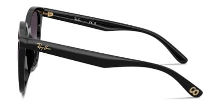 Ray-Ban RB4423D Year Of The Snake Edition Shiny Black glasses - Shiny Black - Side View