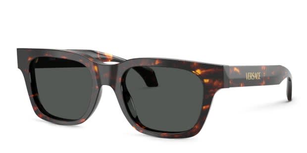 Versace Black and Brown Sunglasses Versace VE4437U M (54 - 20) with Brown lenses and Tortoise  main image 3