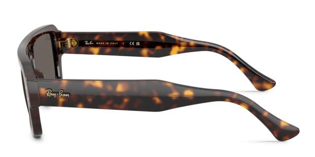 Ray-Ban RB4454 Lukas tortoise frame with dark grey lenses. Lenses