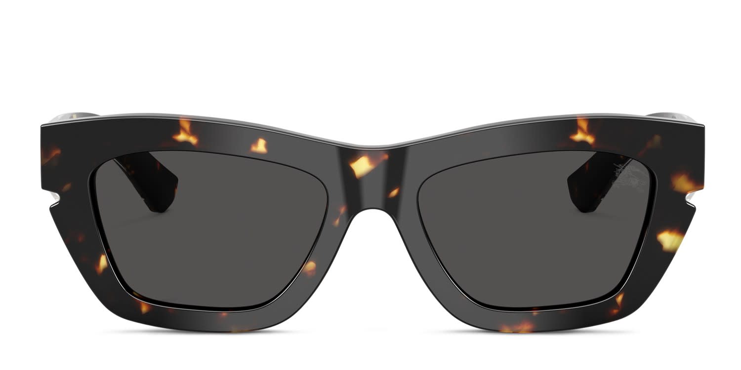 Dior DiorSignature B5I Black, Tortoise Prescription Sunglasses