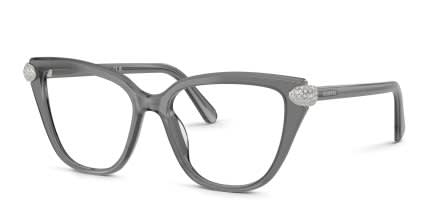 Swarovski SK2045 Gray glasses - Gray - Angle View