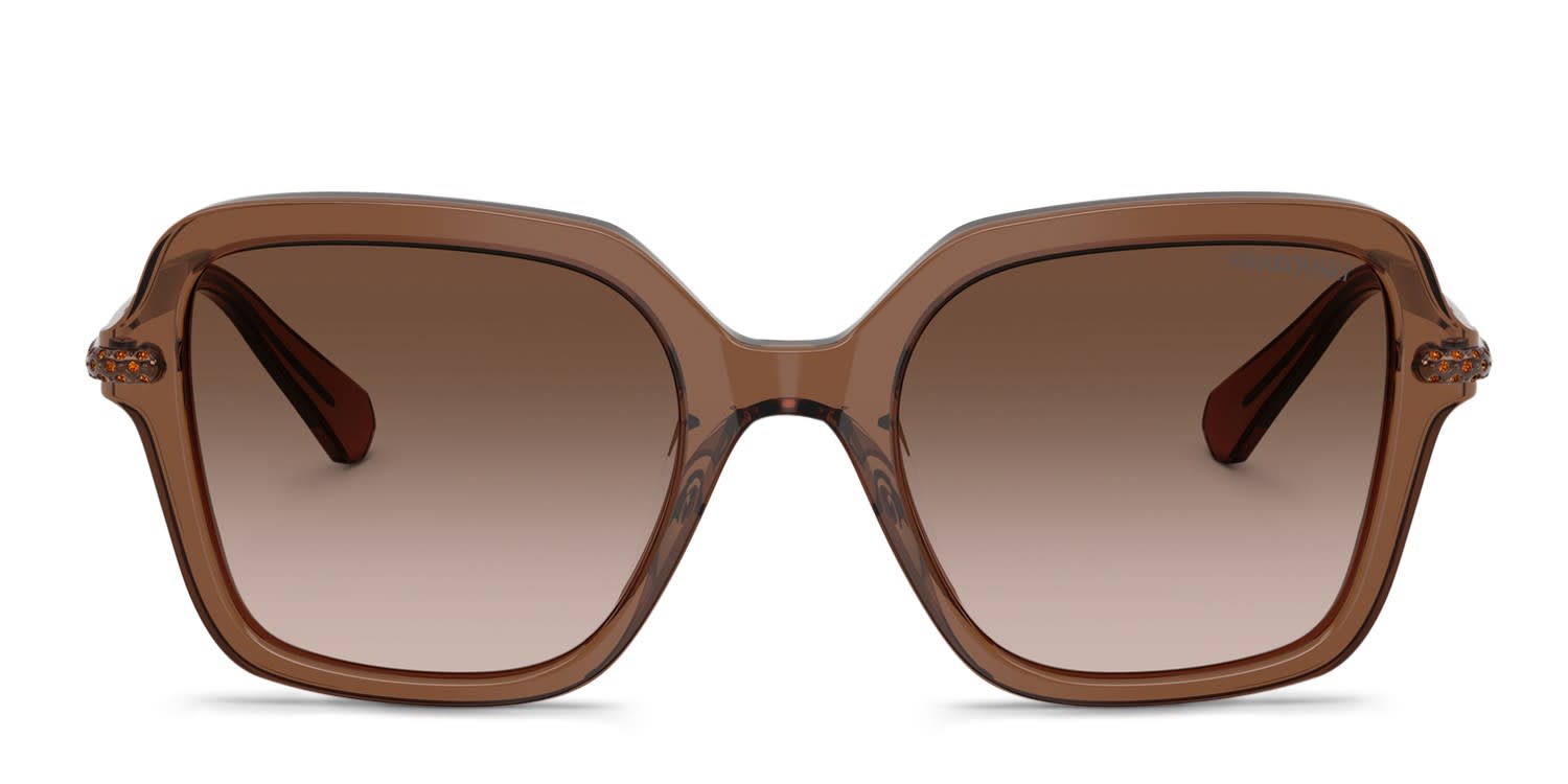 Swarovski SK6040 Clear, Brown glasses - Clear / Brown - Frontal View