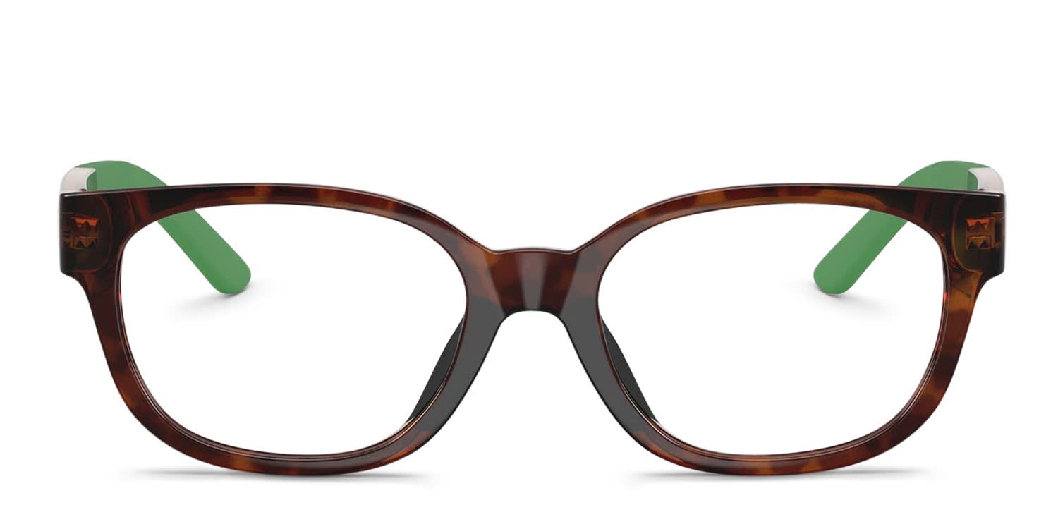 Polo Ralph Lauren PP8551U Gold, Tortoise glasses - Gold / Tortoise - Frontal View