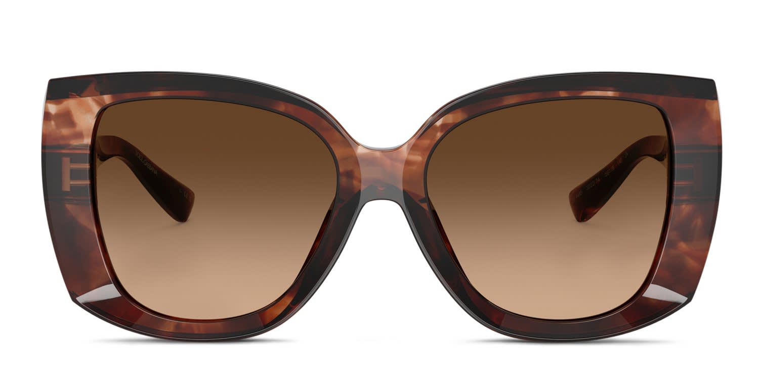 Coach HC8271U Brown , Tortoise