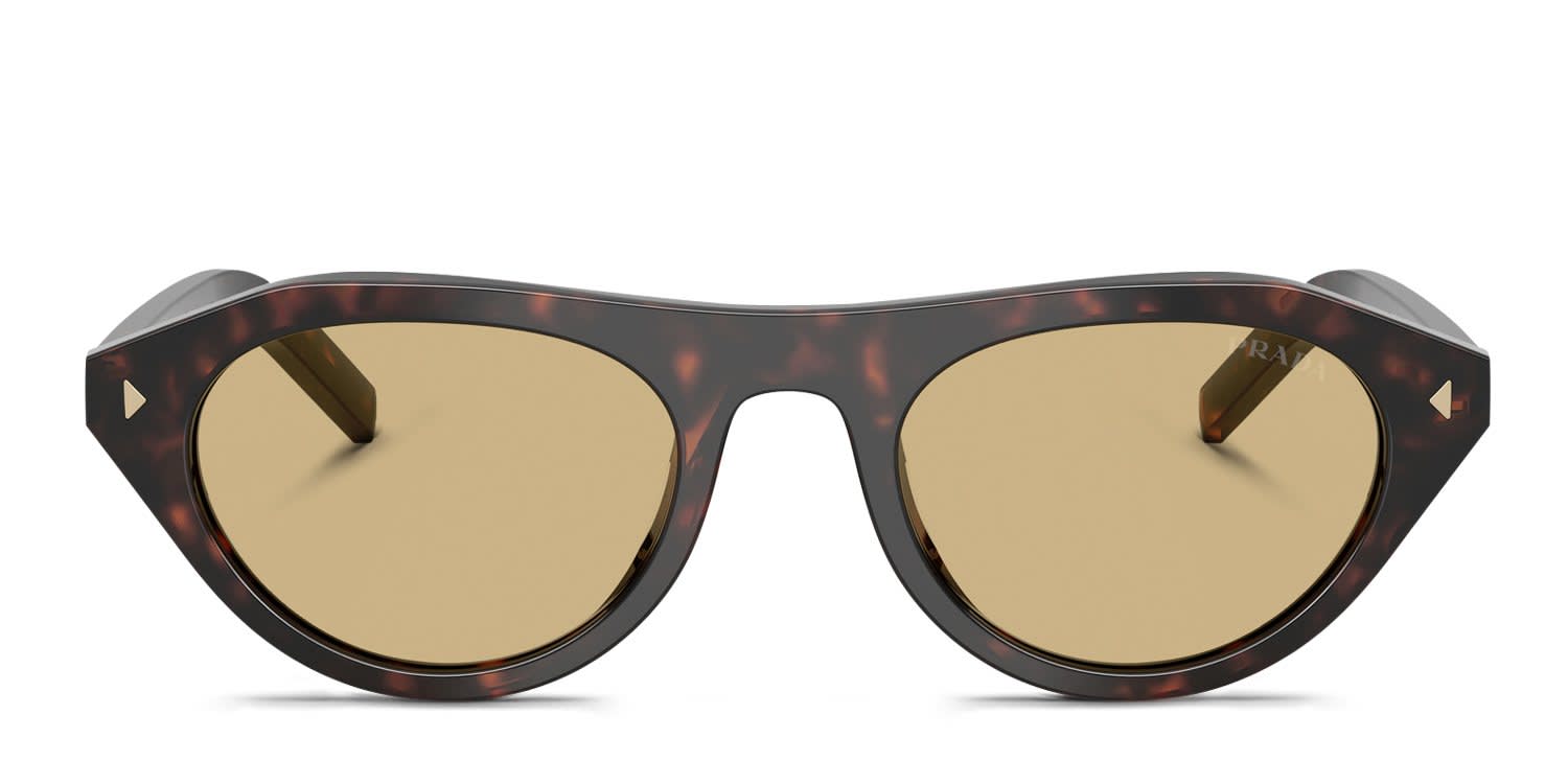Prada PRB15S Tortoise, Brown glasses - Tortoise / Brown - Frontal View