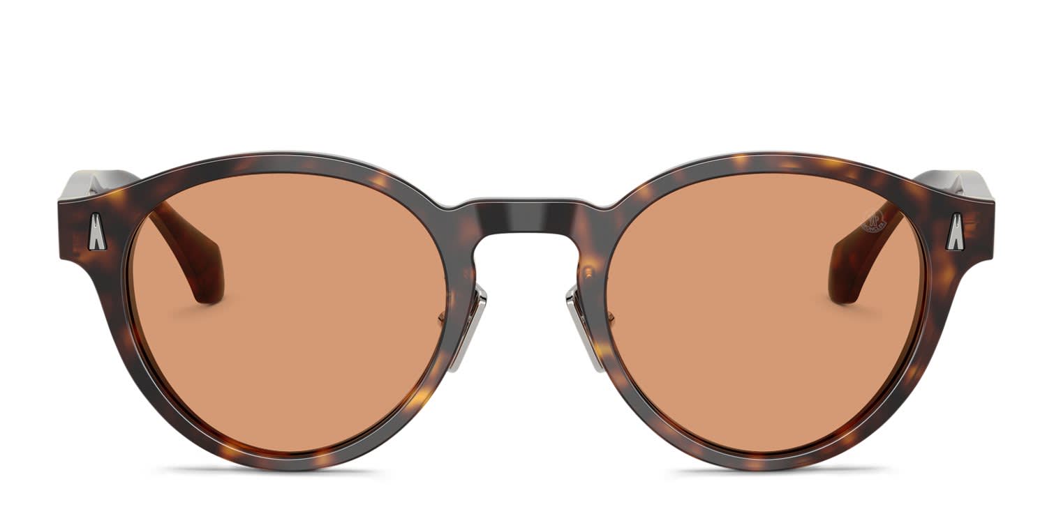 Moncler ME6017D Ember Tortoise, Brown glasses - Tortoise / Brown - Frontal View
