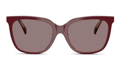 Ralph Lauren RA5343U