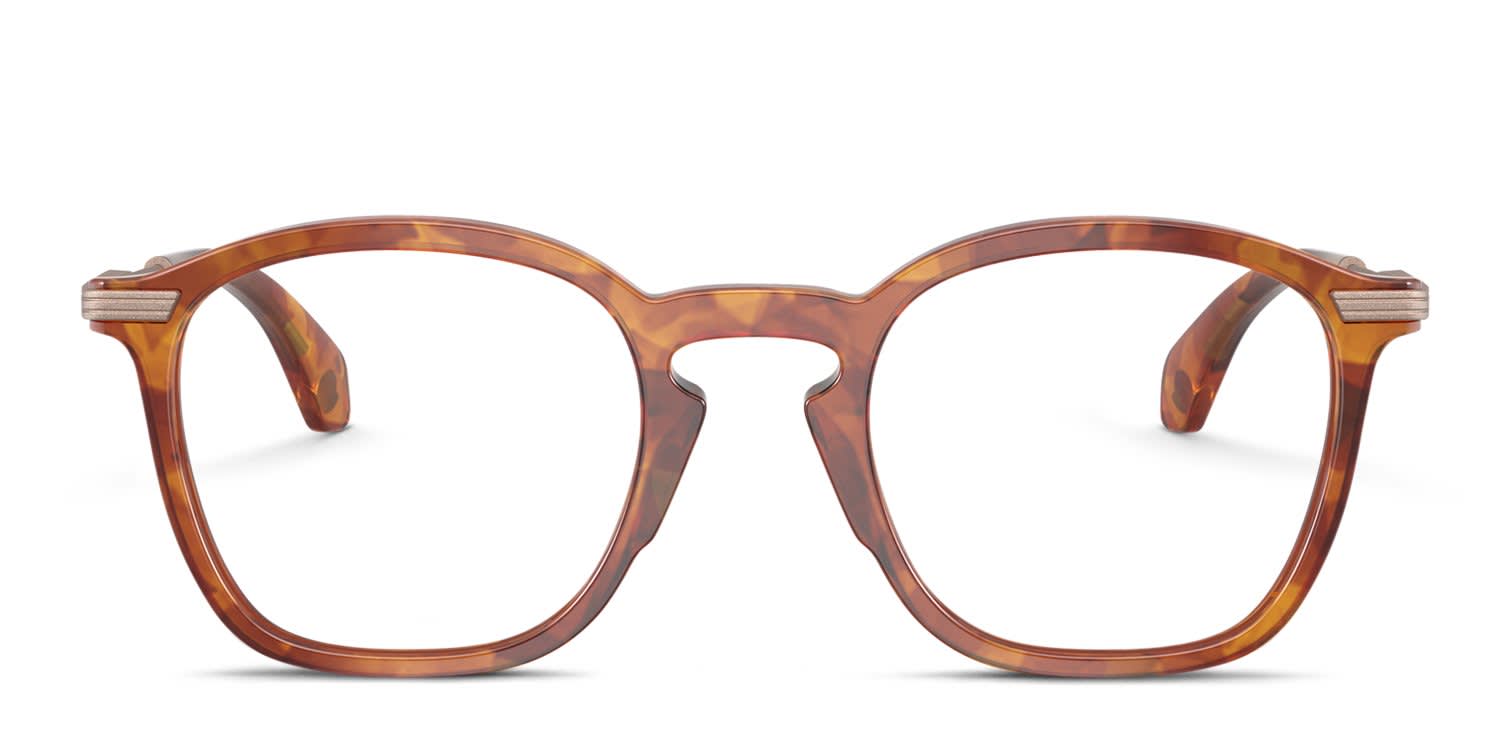 Moncler ME2017 Brown, Tortoise glasses - Brown / Tortoise - Frontal View