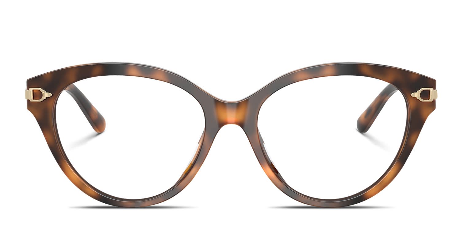 Ralph Lauren RL6256U Tortoise glasses - Tortoise - Frontal View