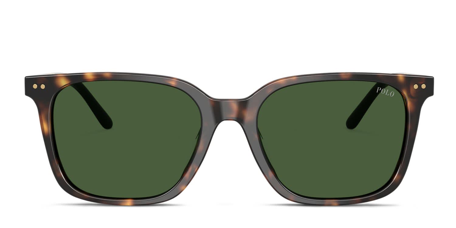 Polo Ralph Lauren PH4235U Tortoise, Green glasses - Tortoise / Green - Frontal View