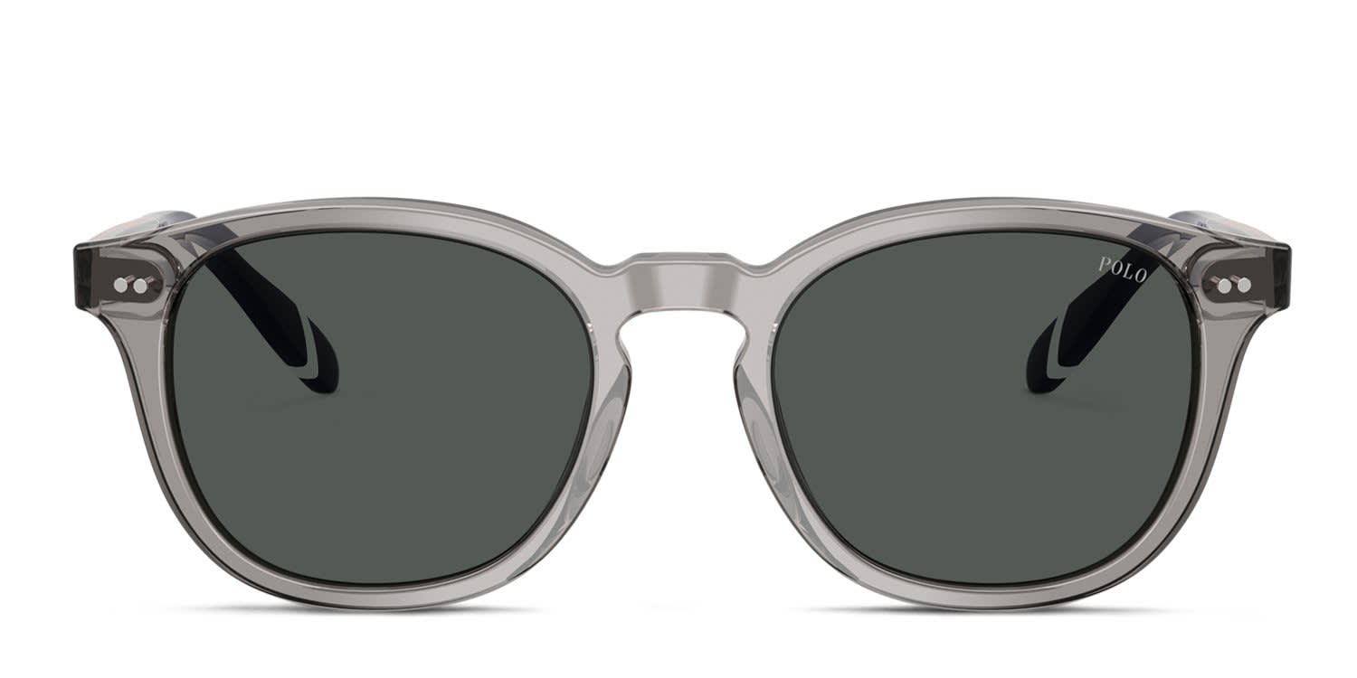 Polo Ralph Lauren PH4206 Clear, Gray glasses - Clear / Gray - Frontal View