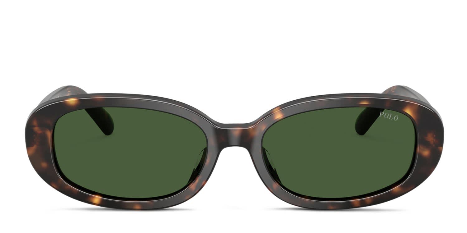 Polo Ralph Lauren PH4198U Tortoise, Green glasses - Tortoise / Green - Frontal View