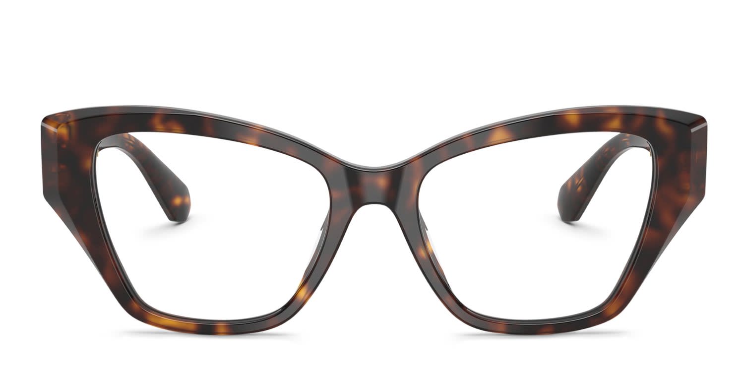 Swarovski SK2050U Tortoise glasses - Tortoise - Frontal View
