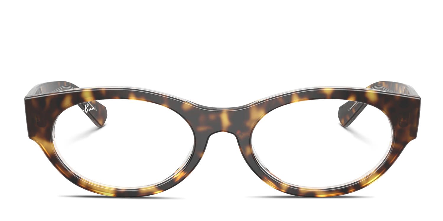 Moschino MOS536 tortoise frames