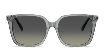 Swarovski SK6053D